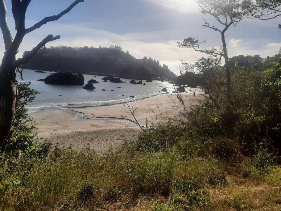 Ocean View Village Condo With Trails To Beaches Trinidad Eksteriør billede