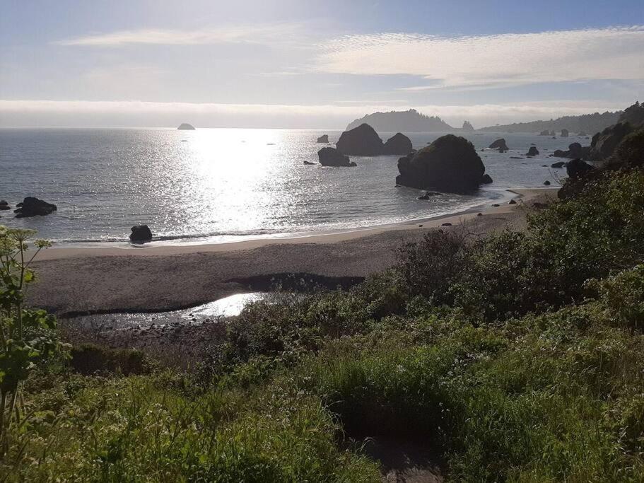 Ocean View Village Condo With Trails To Beaches Trinidad Eksteriør billede
